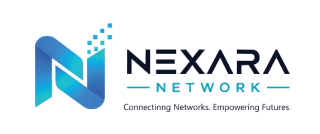 NetwallExpert Logo